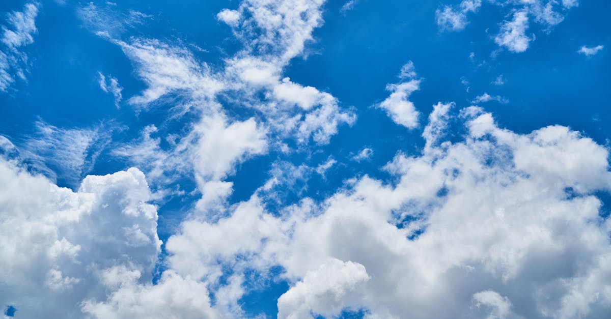 Servicios de virtual desktops y cloud computing para empresas en Centroamérica