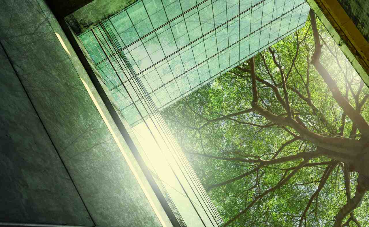 Energía limpia para todos: Bi Bank Panamá promueve la transición hacia un futuro sostenible